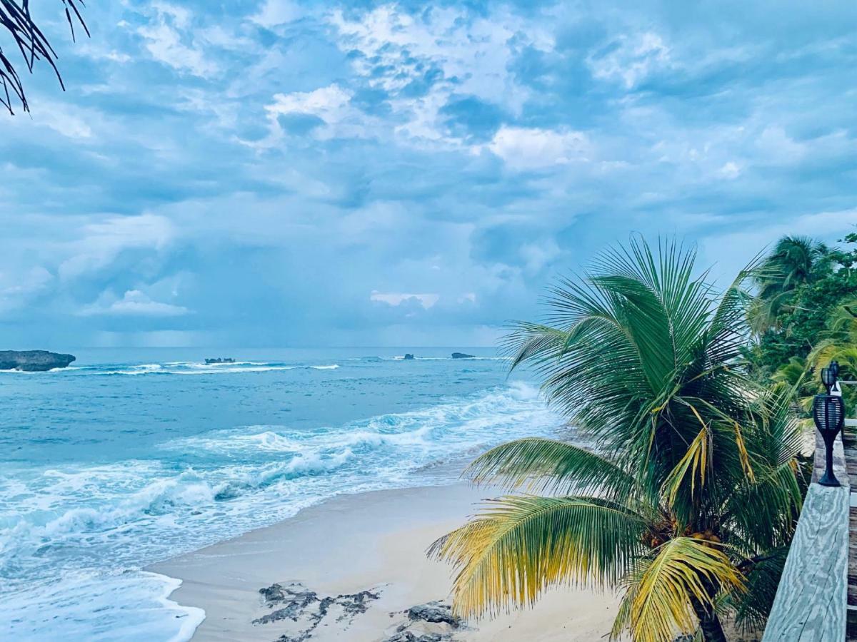 Ventana Al Atlantico At Arecibo 681 Ocean Drive Leilighet Islote Eksteriør bilde